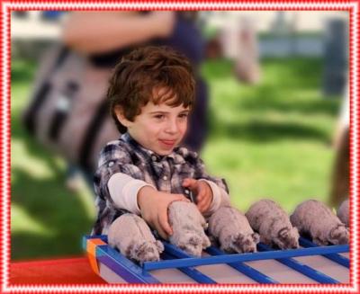 A #  1 Best  Events & Entertainment Carnival Games | Los Angeles, CA | Carnival Games | Photo #16