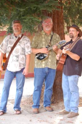 Homegrown Sounds (Acoustic trio) | Sacramento, CA | Cover Band | Photo #6