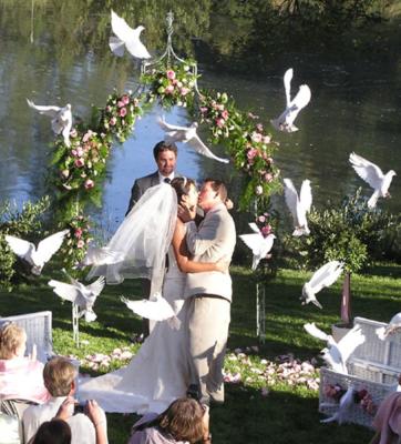 Doves Of White's Main Photo