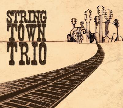 Stringtown Trio | Mason, MI | Celtic Band | Photo #5
