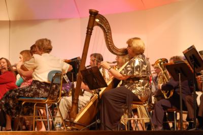 Harping Along - Sherri L. Trometter | Sunbury, PA | Harp | Photo #16