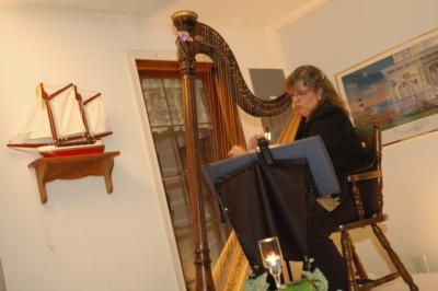 Harping Along - Sherri L. Trometter | Sunbury, PA | Harp | Photo #10