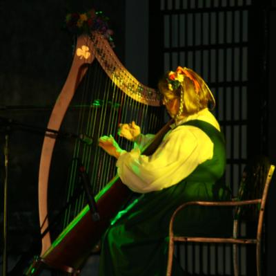Harping Along - Sherri L. Trometter | Sunbury, PA | Harp | Photo #2