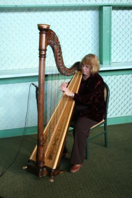 Harping Along - Sherri L. Trometter | Sunbury, PA | Harp | Photo #4