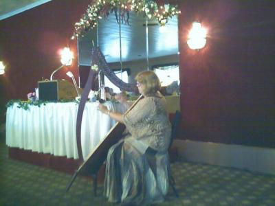 Harping Along - Sherri L. Trometter | Sunbury, PA | Harp | Photo #6