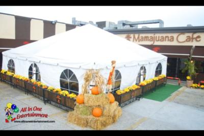 All In One Entertainment | Woodhaven, NY | Clown | Photo #12