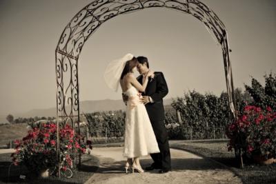 evinaura photography {evinaura studio LLC}'s Main Photo