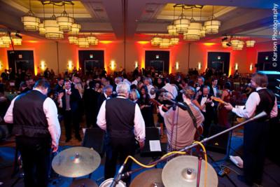 Palmetto Soul | Mount Pleasant, SC | Dance Band | Photo #6