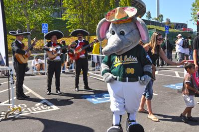 Mariachi Trio Sol De America | San Jose, CA | Mariachi Band | Photo #21
