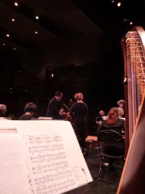 Michelle Cobley | Asheville, NC | Harp | Photo #4