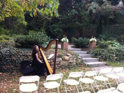 Michelle Cobley | Asheville, NC | Harp | Photo #8