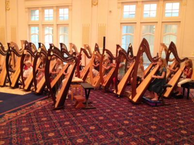 Jane Zopff | Mason, OH | Harp | Photo #7