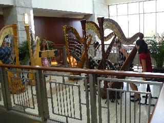 Jane Zopff | Mason, OH | Harp | Photo #3