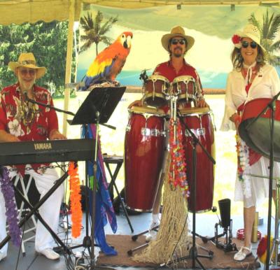 The Calypso Gypsies Steel Drum Band's Main Photo