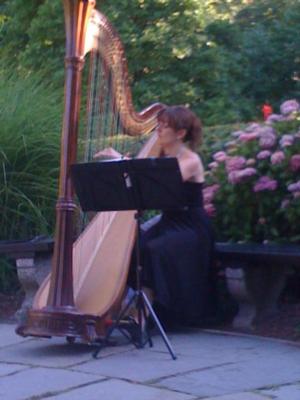 Kathryn Andrews | New York, NY | Harp | Photo #6