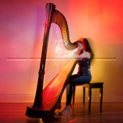Kathryn Andrews | New York, NY | Harp | Photo #3