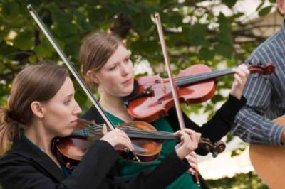 Foxtree | Ann Arbor, MI | Celtic Band | Photo #14