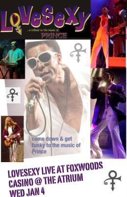 LoVeSeXy ..'a tribute to the music of PRINCE' | Boston, MA | Prince Tribute Act | Photo #9