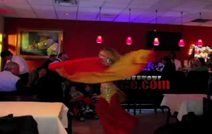 YULIYA -NY*NJ Bellydance Show  | New Milford, NJ | Belly Dancer | Yuliya Demo dances with guests