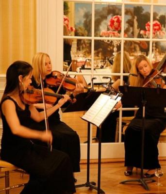 Rock Strings | Los Angeles, CA | Pop String Quartet | Photo #5