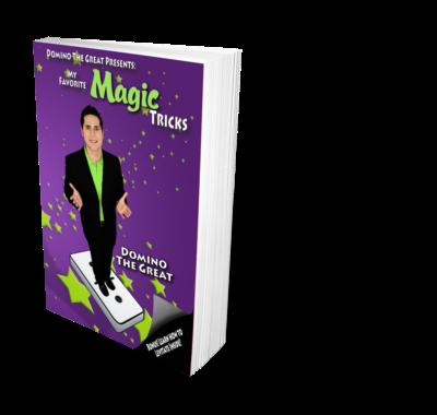 Amazing Kidshow Magician: Domino The Great | Thornwood, NY | Magician | Photo #5
