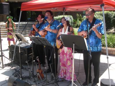 Tropical Sounds/ukulele Players & Hawaiian Band | Arlington, VA | Hawaiian Band | Photo #7