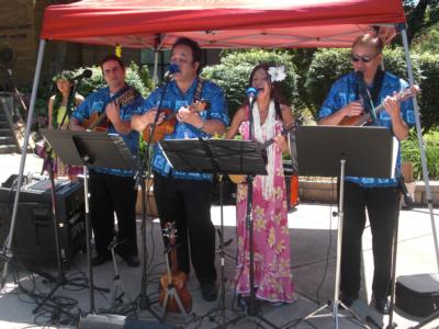 Tropical Sounds/ukulele Players & Hawaiian Band | Arlington, VA | Hawaiian Band | Photo #4