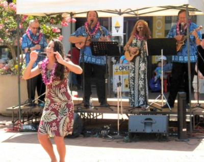 Tropical Sounds/ukulele Players & Hawaiian Band's Main Photo