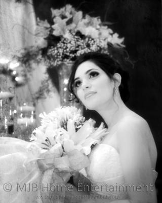 Martin Bentsen Wedding Videos and Photography's Main Photo