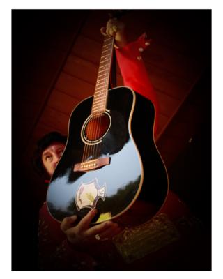Elvis Aaron Baker | Hamilton, ON | Elvis Impersonator | Photo #14