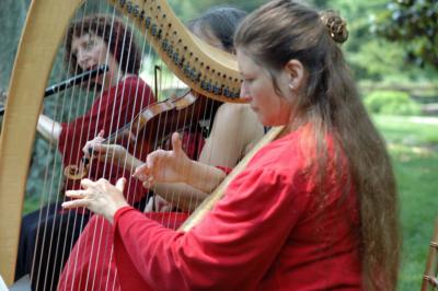Celtic Music For Your Wedding Or Occasion | Alexandria, VA | Celtic Trio | Photo #13