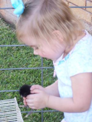 Ponies2you | Wichita Falls, TX | Animals For Parties | Photo #5