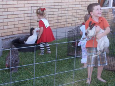 Ponies2you | Wichita Falls, TX | Animals For Parties | Photo #3