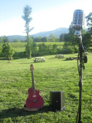 John Baldwin | Richmond, VA | Acoustic Guitar | Photo #9