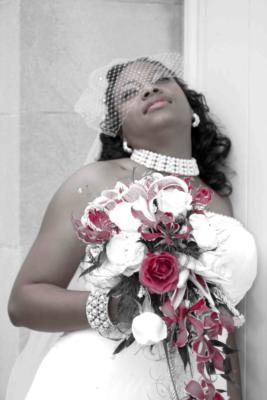 Donald Pope Photography's Main Photo