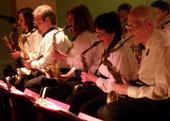 The Baytones | Saginaw, MI | Big Band | Photo #13