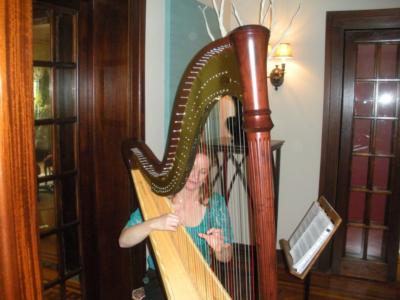 Theresa Tremmel, Indianapolis, Harp And Keyboard | Indianapolis, IN | Harp | Photo #7