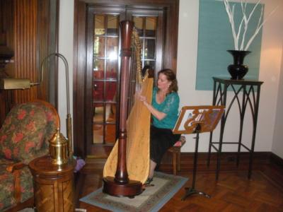 Theresa Tremmel, Indianapolis, Harp And Keyboard | Indianapolis, IN | Harp | Photo #2