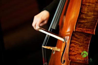 Loring String Quartet | Minneapolis, MN | String Quartet | Photo #7