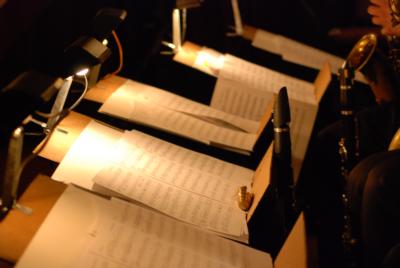 The Starling Band | Philadelphia, PA | Variety Band | Photo #9