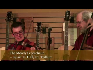 Ed Hall, National Fingerstyle Guitar Champion | Harvard, IL | Acoustic Guitar | The Moody Leprechaun with Trillium, Ed Hall composition