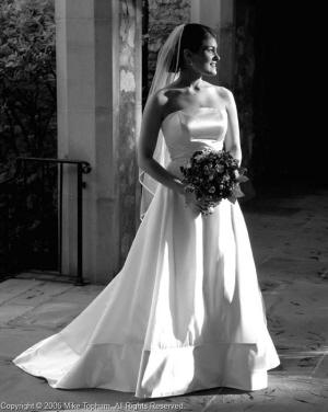 Mike Topham Photography's Main Photo