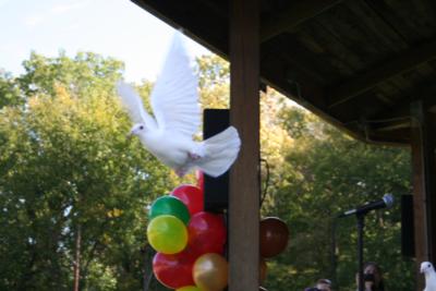 Dove Express | Indianapolis, IN | Dove Releases | Photo #4