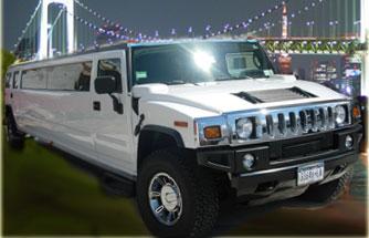 Future Century Limousine's Main Photo