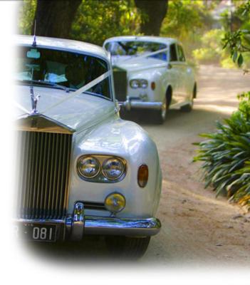 Millenium Limo, Inc | Fort Lauderdale, FL | Party Bus | Photo #13