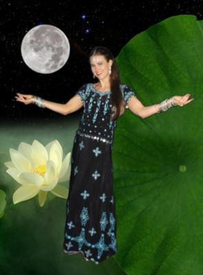 Amira Bollywood Dance Artist | Orlando, FL | Bollywood Dancer | Photo #4