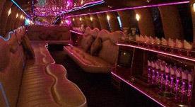 Safari Limousines | Raleigh, NC | Party Limousine | Photo #6