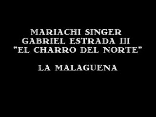Gabriel Estrada III | Kent City, MI | Mariachi Singer | La Malaguena