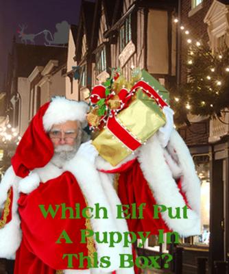 Santa Jack Arthur & Mrs. C. | Fredericksburg, VA | Santa Claus | Photo #22