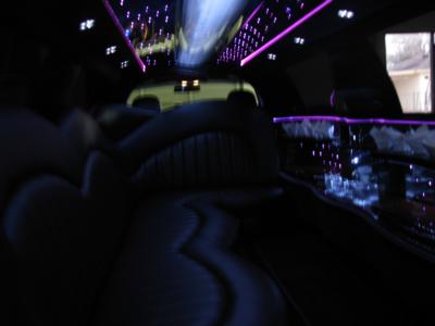 Platinum Limo Service Inc. | Houston, TX | Hummer Limousine | Photo #12